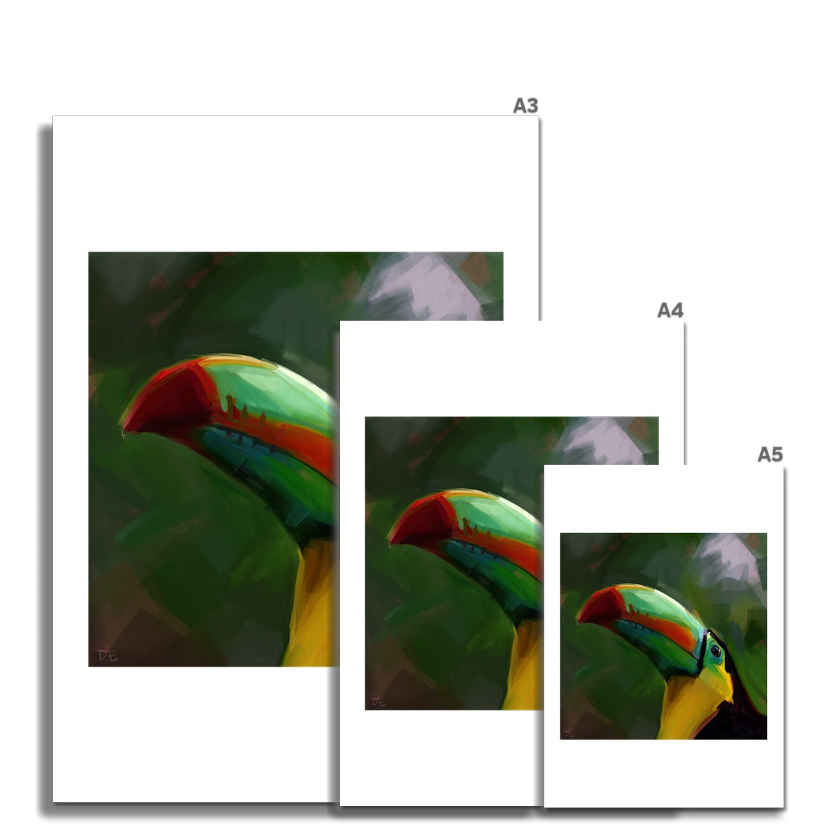 Toucan - Print