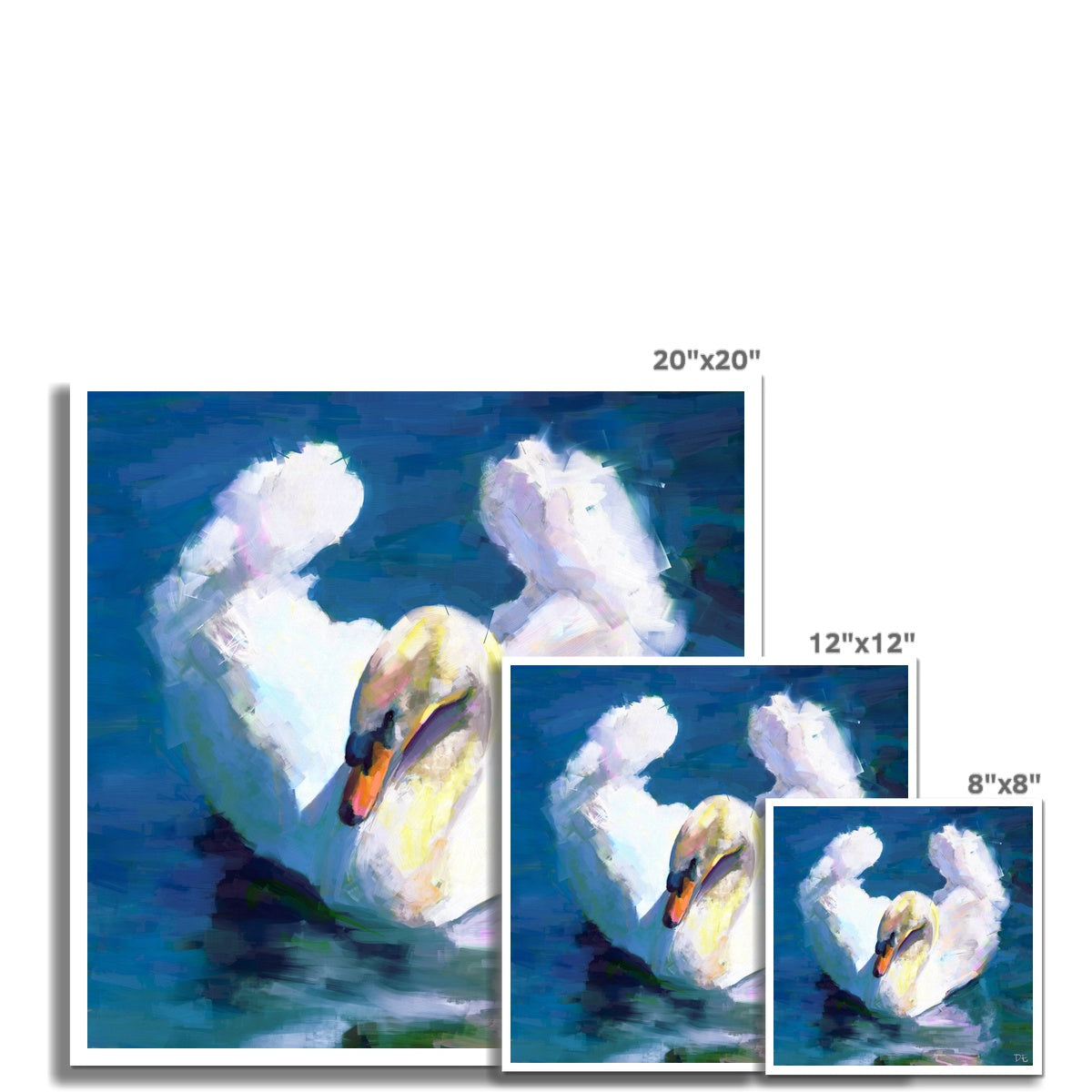 Swan - Print