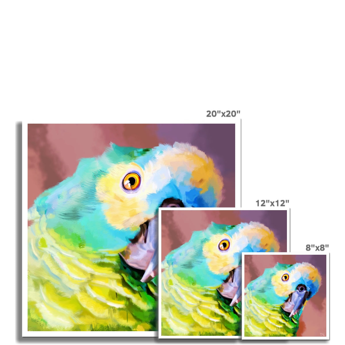 Ahoy there! It's a parrot's life for me! - Print