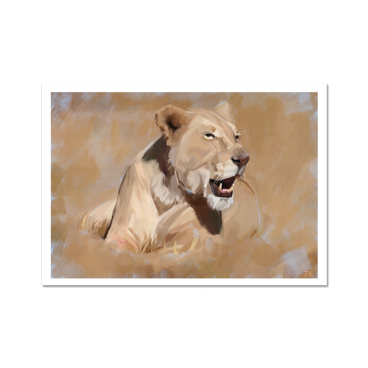 Lioness - Print