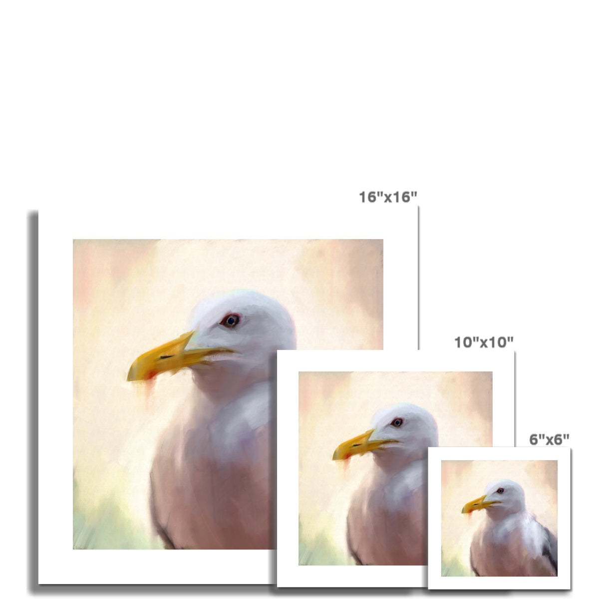 Seagull oil painting print