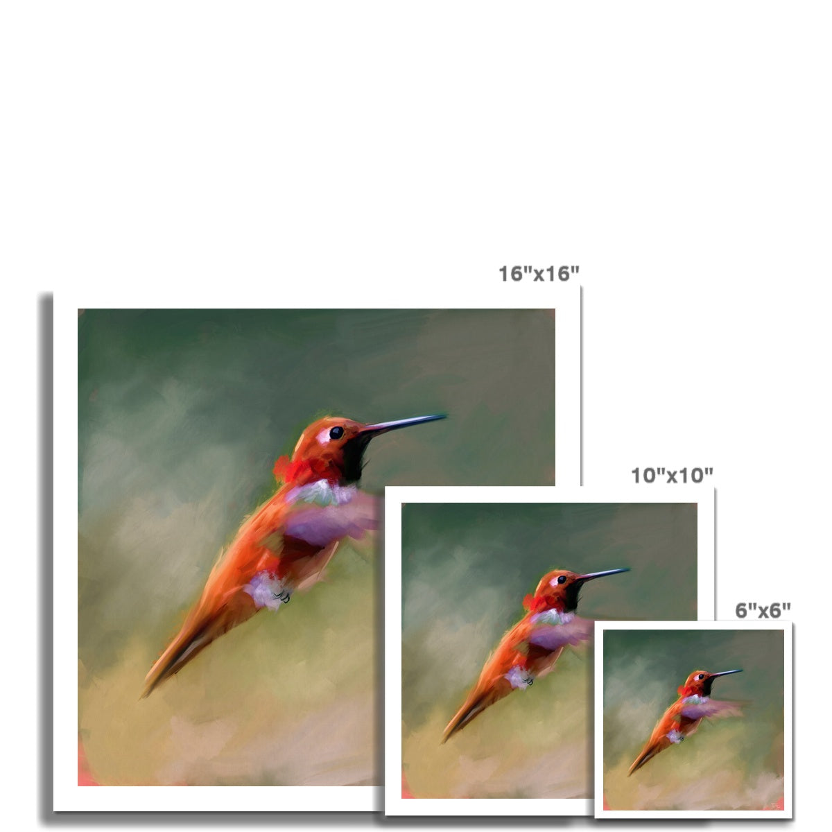 Hummingbird - Print